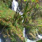 DSCN6079