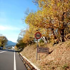 DSCN9994