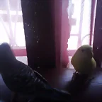 hermosos