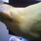 hermosos