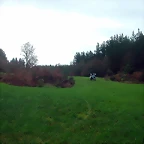 DSCN5321