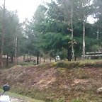 DSCN5337