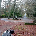DSCN5333