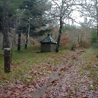DSCN5332