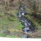 DSCN8160
