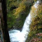 DSCN6141