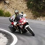 201147131_3989824011137319_6353881889806481368_n