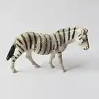 zebra1