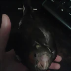 20150226_201138