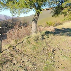 DSCN8076