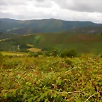 DSCN6617