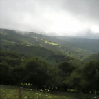 DSCN4801