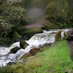 DSCN5742