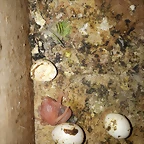20190305_193452