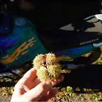 DSCN9030