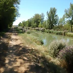DSCN8126