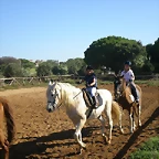 SARDINADA 023