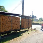 DSCN6750
