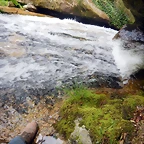 DSCN5851