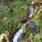 DSCN0791