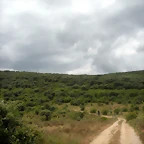 DSCN6150