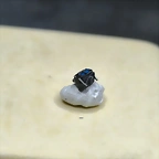 IMG_20250501_194409