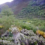 DSCN9732