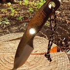 yara1
