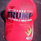 Trump Cap 1