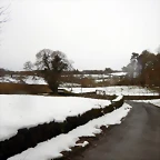 DSCN3050