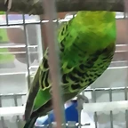 20170824_181824