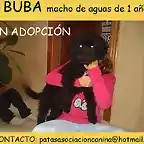 BUBA Cdiz