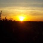 DSCN1058