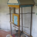 SAM_0436