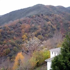DSCN0824