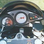 Dan6 (450 x 300)