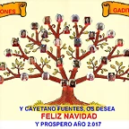 ARBOL