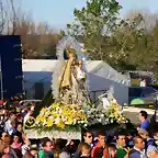 035, flores de la ofrenda 3, marca