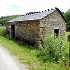 DSCN4416