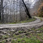 DSCN9501
