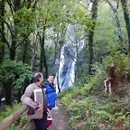 DSCN4738