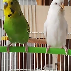FB_IMG_1531239339147