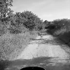 28-IMG_1404