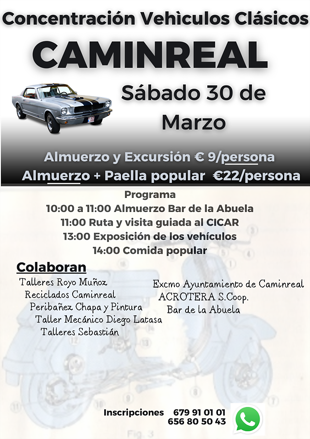 Cartel concentracion vehiculos clasicos