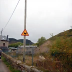 DSCN6623