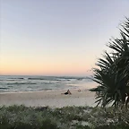2017-04-10 05.12.20 1489748988465901392_185143235