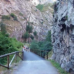 DSCN1424