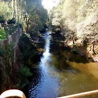 DSCN7845