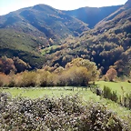DSCN9145