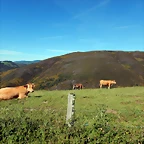 DSCN0974